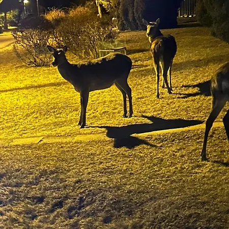 Magic Experience 2 Bedroom 70 M2 In Tatranska Lomnica By Gavrieli *