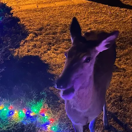 Magic Experience 2 Bedroom 70 M2 In Tatranska Lomnica By Gavrieli Vysoké Tatry
