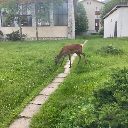 Magic Experience 2 Bedroom 70 M2 In Tatranska Lomnica By Gavrieli *