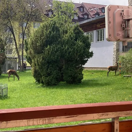 Magic Experience 2 Bedroom 70 M2 In Tatranska Lomnica By Gavrieli Apartment *