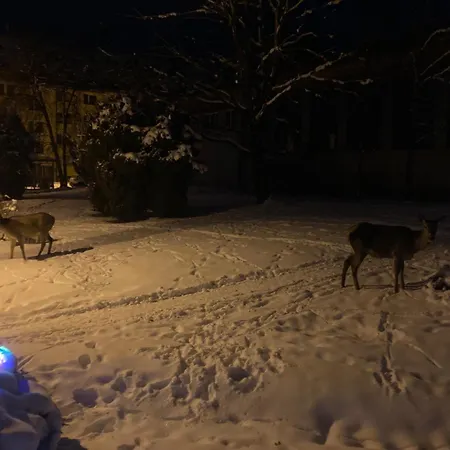 Magic Experience 2 Bedroom 70 M2 In Tatranska Lomnica By Gavrieli Apartment