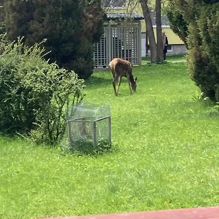 Apartment Magic Experience 2 Bedroom 70 M2 In Tatranska Lomnica By Gavrieli *