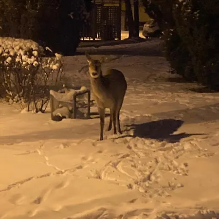Magic Experience 2 Bedroom 70 M2 In Tatranska Lomnica By Gavrieli Appartement Vysoké Tatry