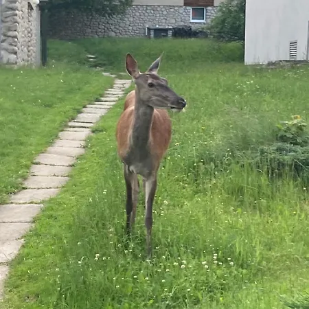 Magic Experience 2 Bedroom 70 M2 In Tatranska Lomnica By Gavrieli